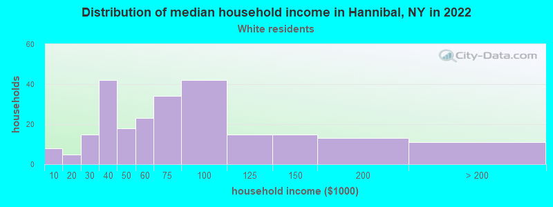 Distribution of median household income in Hannibal, NY in 2022