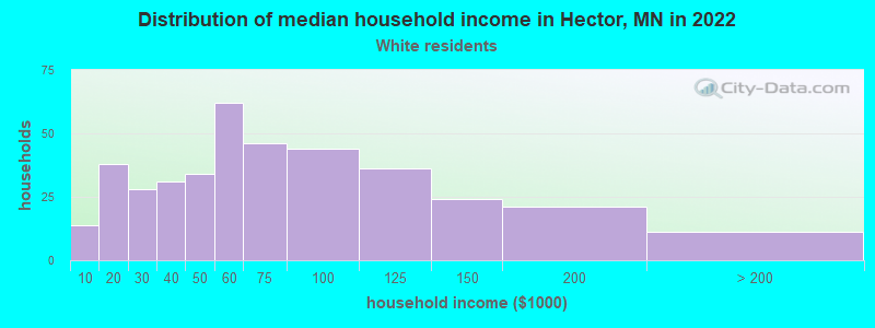 Distribution of median household income in Hector, MN in 2022