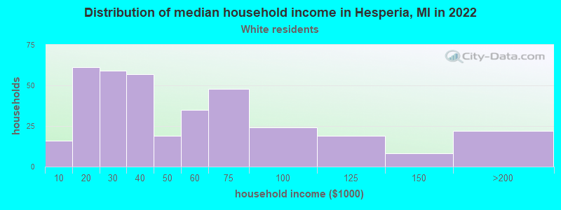 Distribution of median household income in Hesperia, MI in 2022