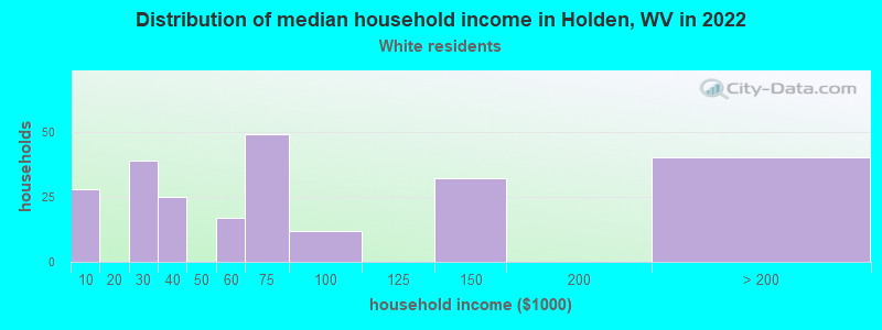 Distribution of median household income in Holden, WV in 2022