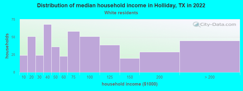 Distribution of median household income in Holliday, TX in 2022