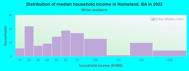 Distribution of median household income in Homeland, GA in 2022
