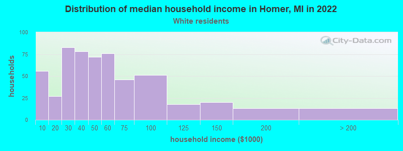 Distribution of median household income in Homer, MI in 2022