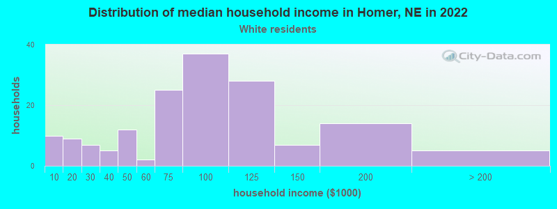 Distribution of median household income in Homer, NE in 2022