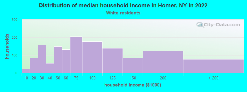 Distribution of median household income in Homer, NY in 2022