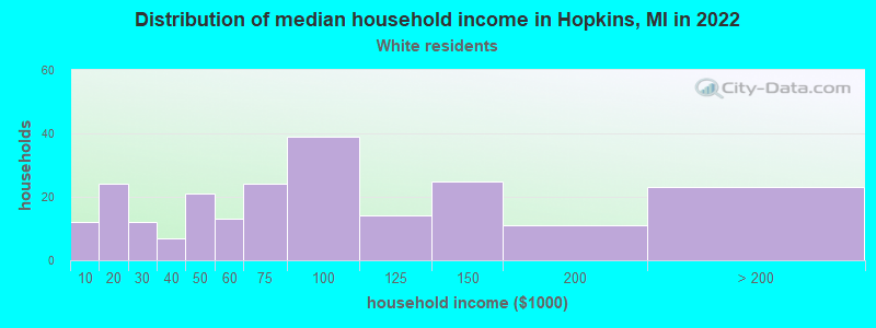 Distribution of median household income in Hopkins, MI in 2022
