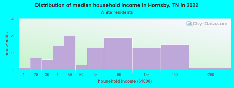Distribution of median household income in Hornsby, TN in 2022