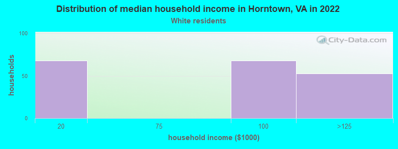 Distribution of median household income in Horntown, VA in 2022