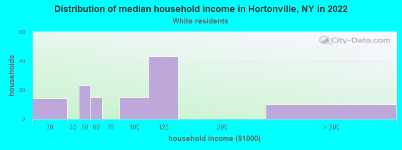 Distribution of median household income in Hortonville, NY in 2022