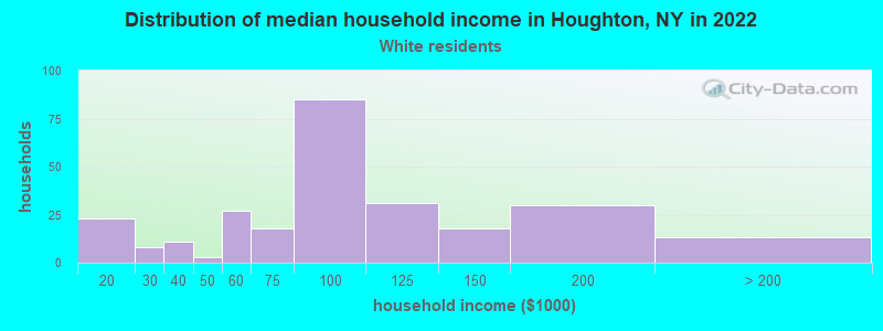 Distribution of median household income in Houghton, NY in 2022