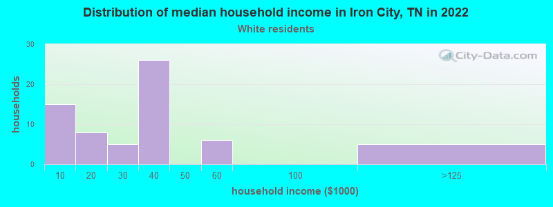 Distribution of median household income in Iron City, TN in 2022