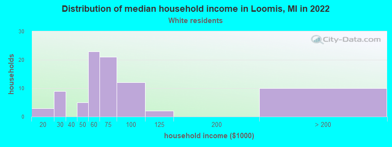 Distribution of median household income in Loomis, MI in 2022