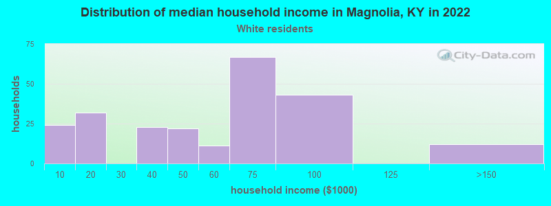 Distribution of median household income in Magnolia, KY in 2022
