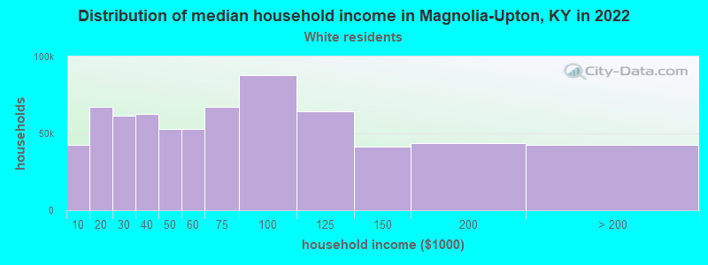 Distribution of median household income in Magnolia-Upton, KY in 2022
