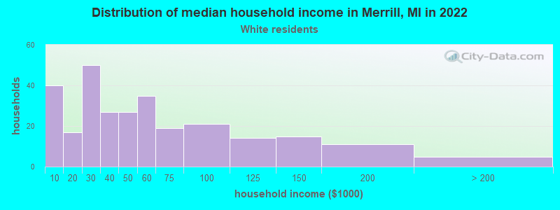 Distribution of median household income in Merrill, MI in 2022