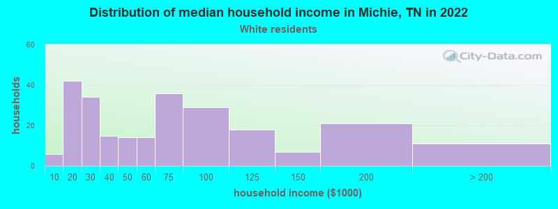 Distribution of median household income in Michie, TN in 2022
