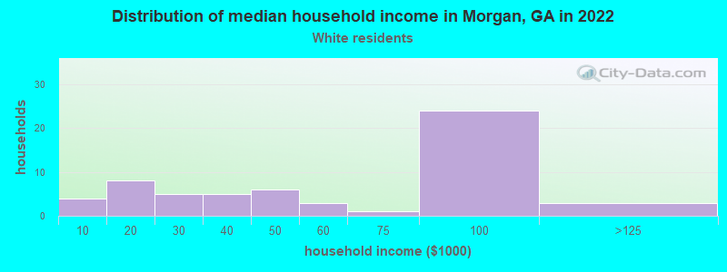 Distribution of median household income in Morgan, GA in 2022
