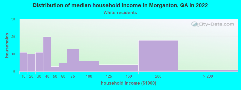 Distribution of median household income in Morganton, GA in 2022