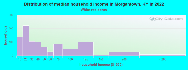 Distribution of median household income in Morgantown, KY in 2022