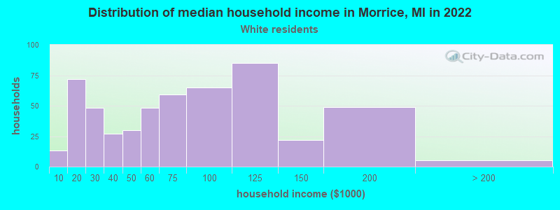 Distribution of median household income in Morrice, MI in 2022
