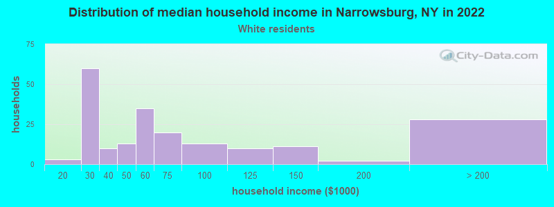 Distribution of median household income in Narrowsburg, NY in 2022