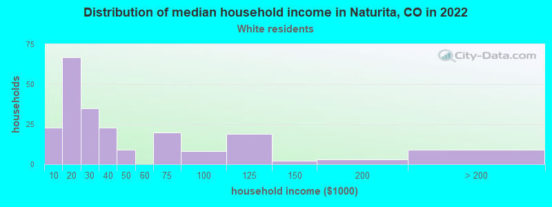 Distribution of median household income in Naturita, CO in 2022