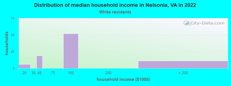 Distribution of median household income in Nelsonia, VA in 2022