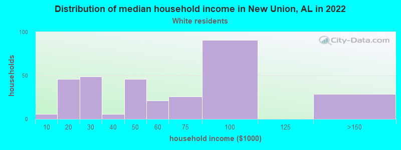 Distribution of median household income in New Union, AL in 2022