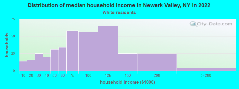 Distribution of median household income in Newark Valley, NY in 2022