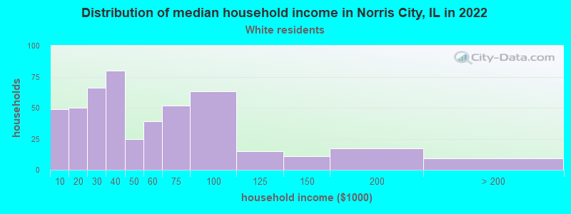 Distribution of median household income in Norris City, IL in 2022