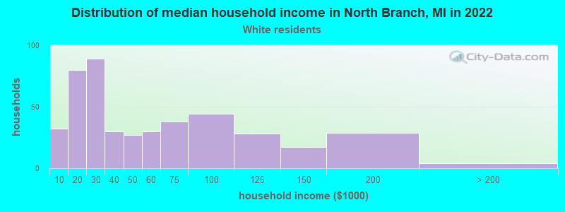 Distribution of median household income in North Branch, MI in 2022