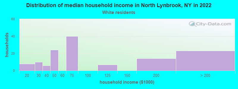 Distribution of median household income in North Lynbrook, NY in 2022