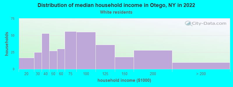 Distribution of median household income in Otego, NY in 2022