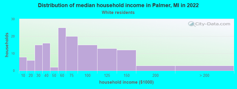 Distribution of median household income in Palmer, MI in 2022