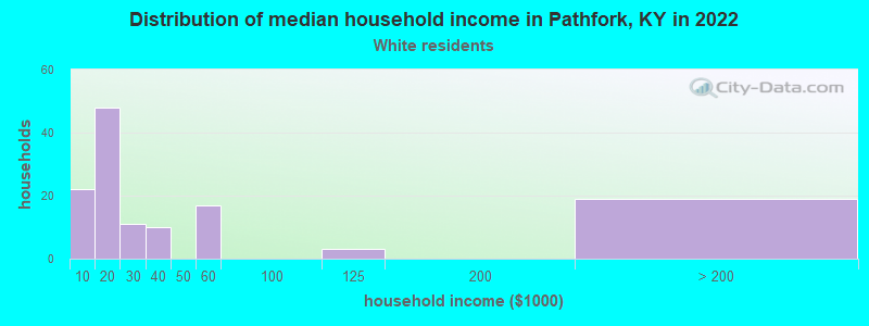 Distribution of median household income in Pathfork, KY in 2022