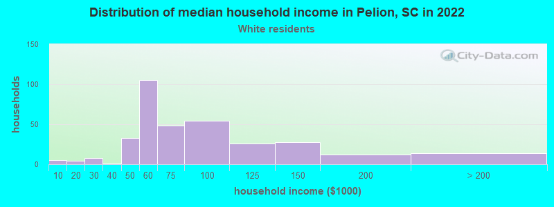 Distribution of median household income in Pelion, SC in 2022