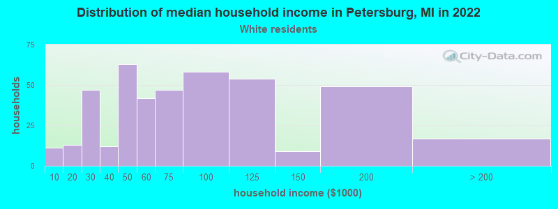 Distribution of median household income in Petersburg, MI in 2022
