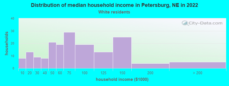 Distribution of median household income in Petersburg, NE in 2022