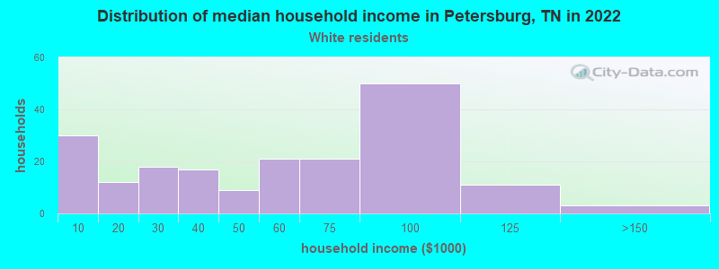 Distribution of median household income in Petersburg, TN in 2022