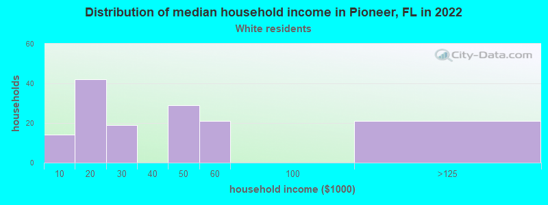 Distribution of median household income in Pioneer, FL in 2022