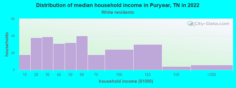 Distribution of median household income in Puryear, TN in 2022