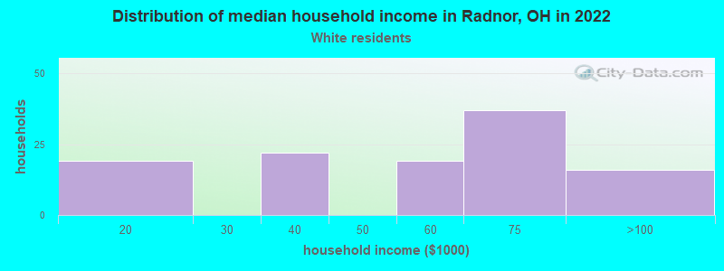 Distribution of median household income in Radnor, OH in 2022