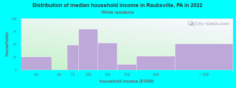 Distribution of median household income in Raubsville, PA in 2022