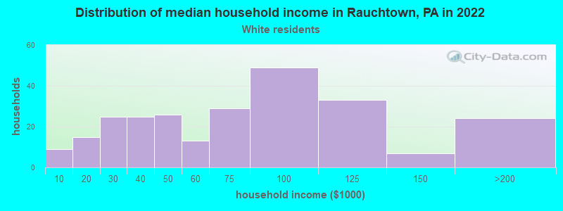 Distribution of median household income in Rauchtown, PA in 2022