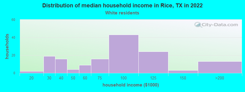 Distribution of median household income in Rice, TX in 2022