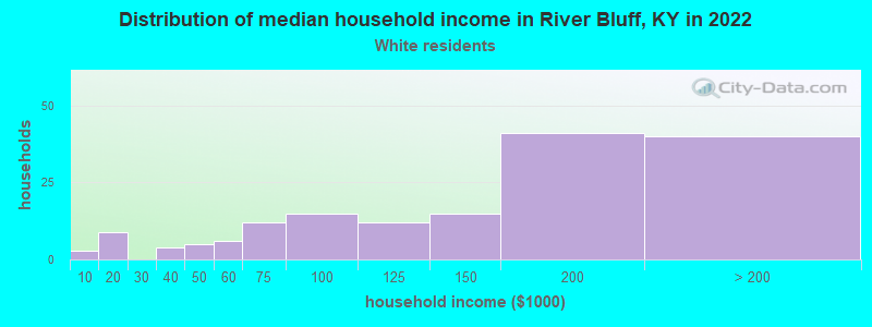Distribution of median household income in River Bluff, KY in 2022
