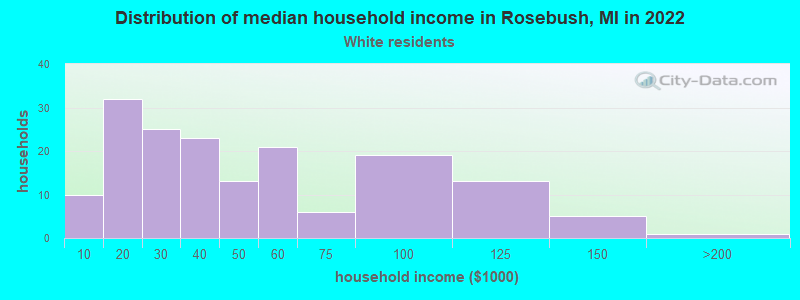 Distribution of median household income in Rosebush, MI in 2022