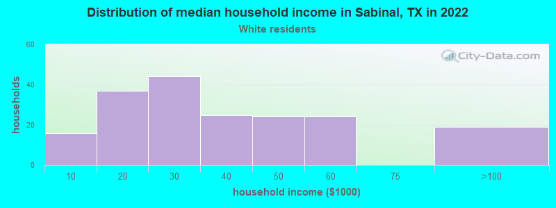 Distribution of median household income in Sabinal, TX in 2022