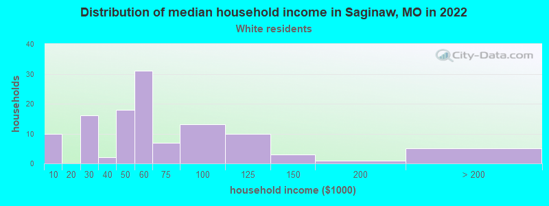 Distribution of median household income in Saginaw, MO in 2022