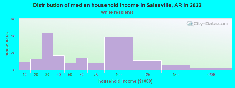 Distribution of median household income in Salesville, AR in 2022